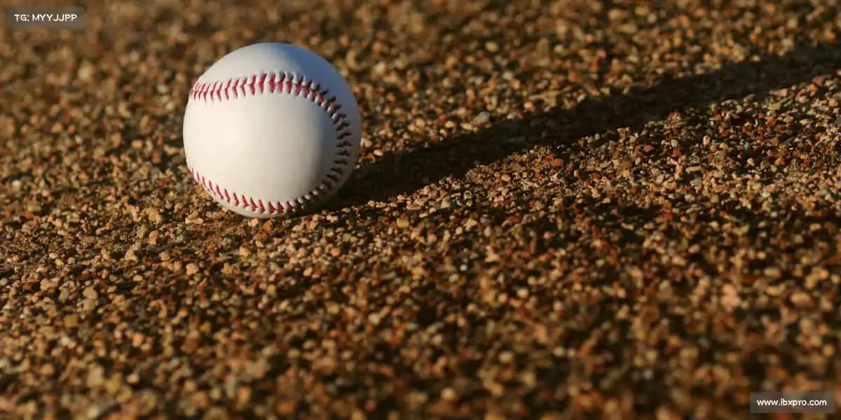 为什么选择我们